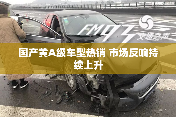 国产黄A级车型热销 市场反响持续上升