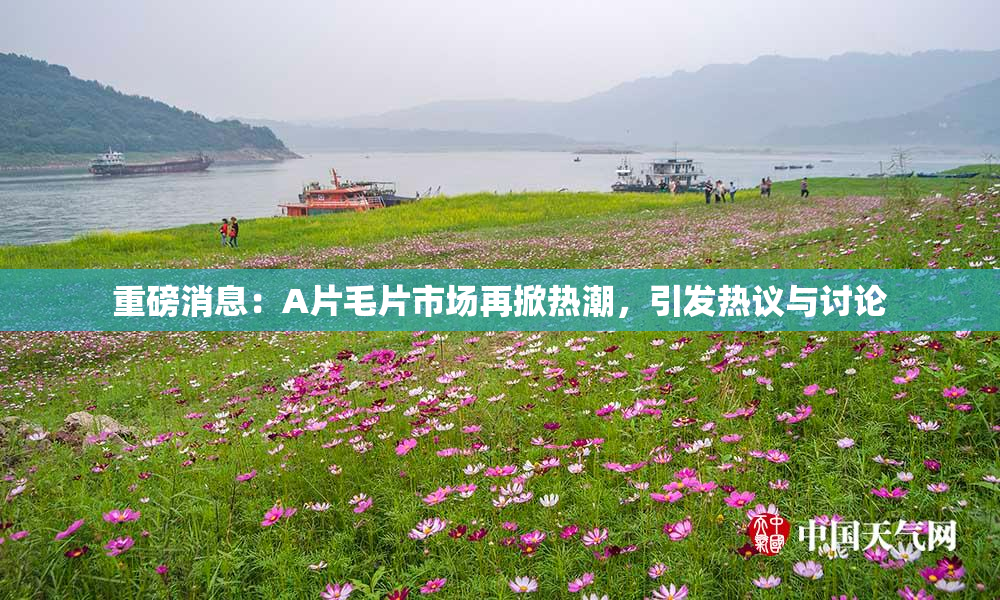 重磅消息：A片毛片市场再掀热潮，引发热议与讨论