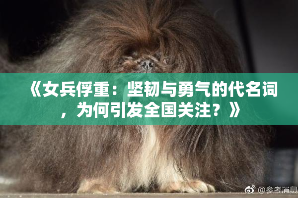 《女兵俘重：坚韧与勇气的代名词，为何引发全国关注？》