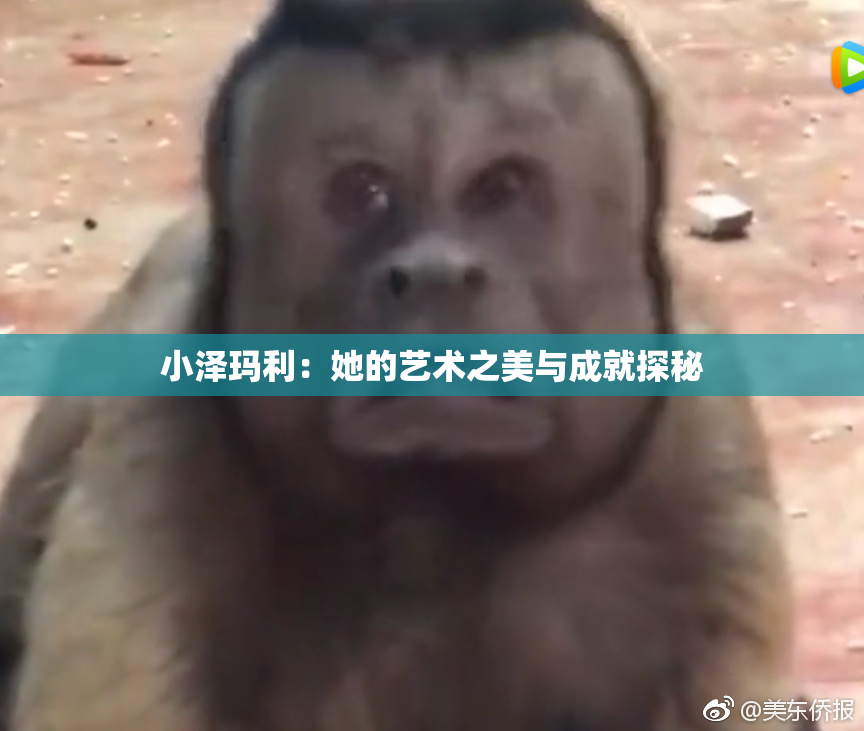 小泽玛利：她的艺术之美与成就探秘