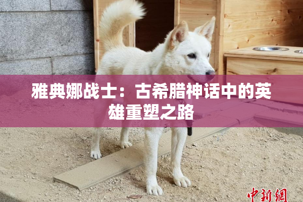 雅典娜战士：古希腊神话中的英雄重塑之路