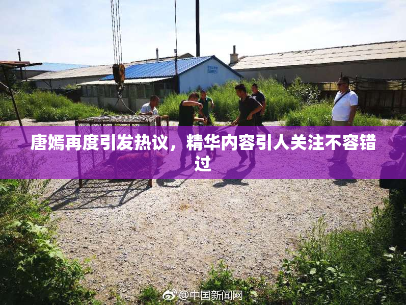 唐嫣再度引发热议，精华内容引人关注不容错过