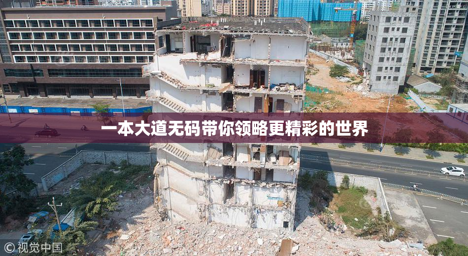 一本大道无码带你领略更精彩的世界