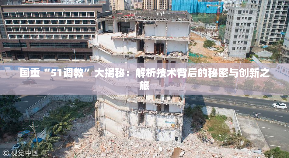 国重“51调教”大揭秘：解析技术背后的秘密与创新之旅