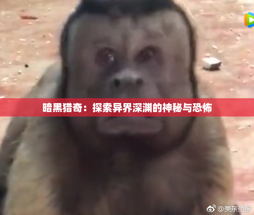 暗黑猎奇：探索异界深渊的神秘与恐怖