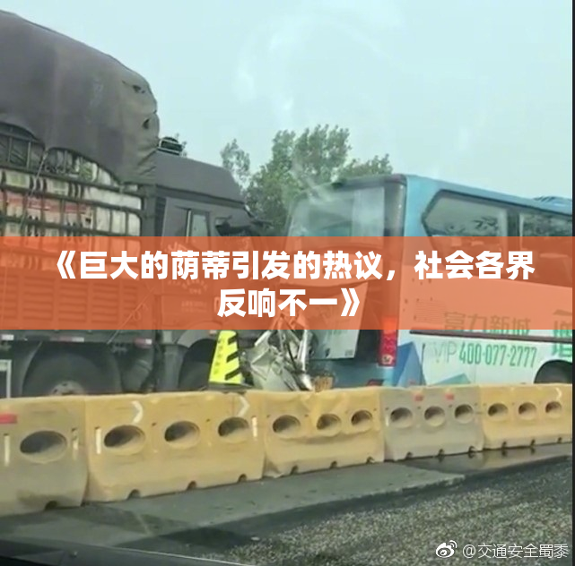 《巨大的荫蒂引发的热议，社会各界反响不一》