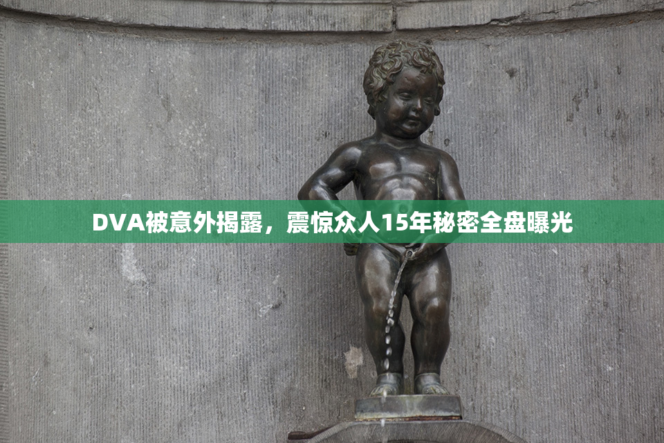 DVA被意外揭露，震惊众人15年秘密全盘曝光
