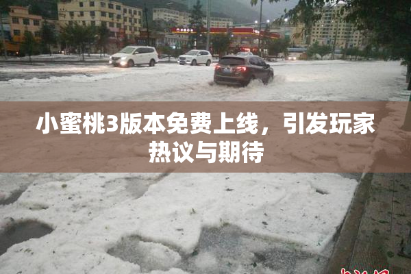 小蜜桃3版本免费上线，引发玩家热议与期待