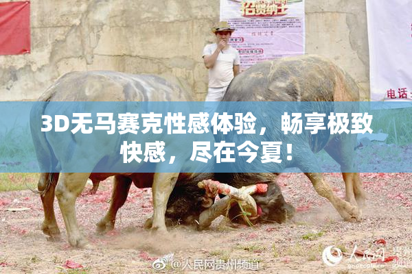 3D无马赛克性感体验，畅享极致快感，尽在今夏！