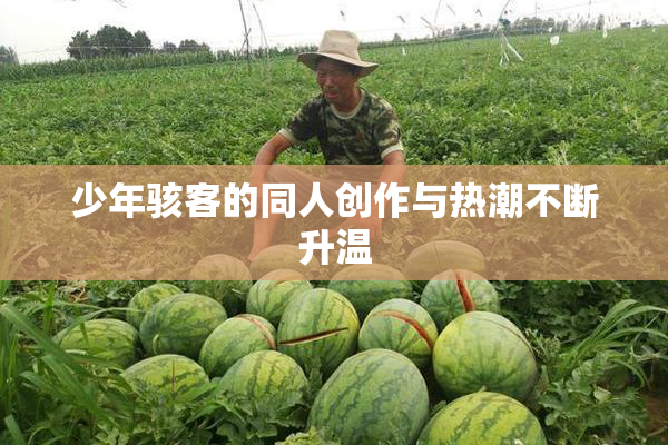少年骇客的同人创作与热潮不断升温