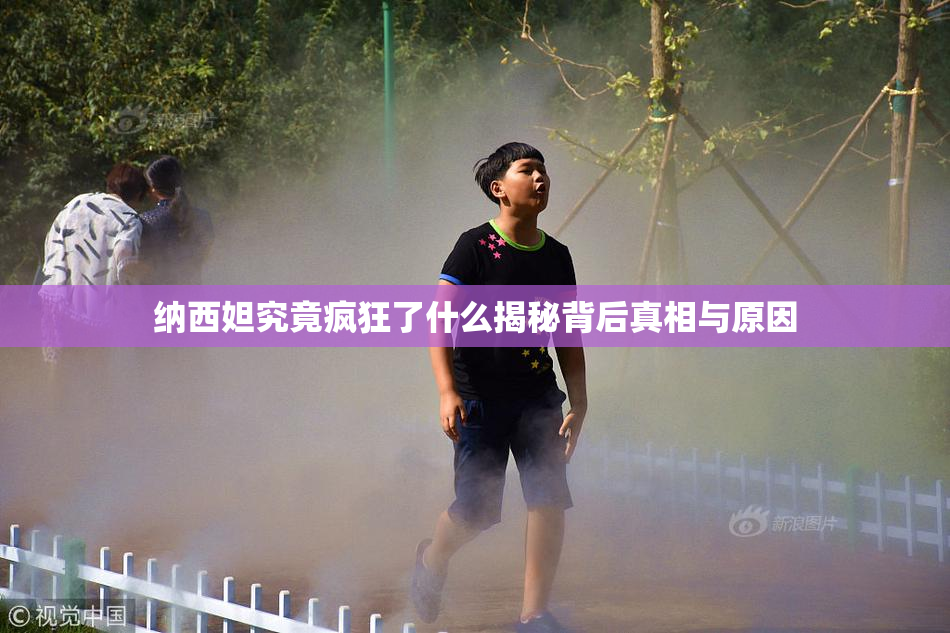 纳西妲究竟疯狂了什么揭秘背后真相与原因