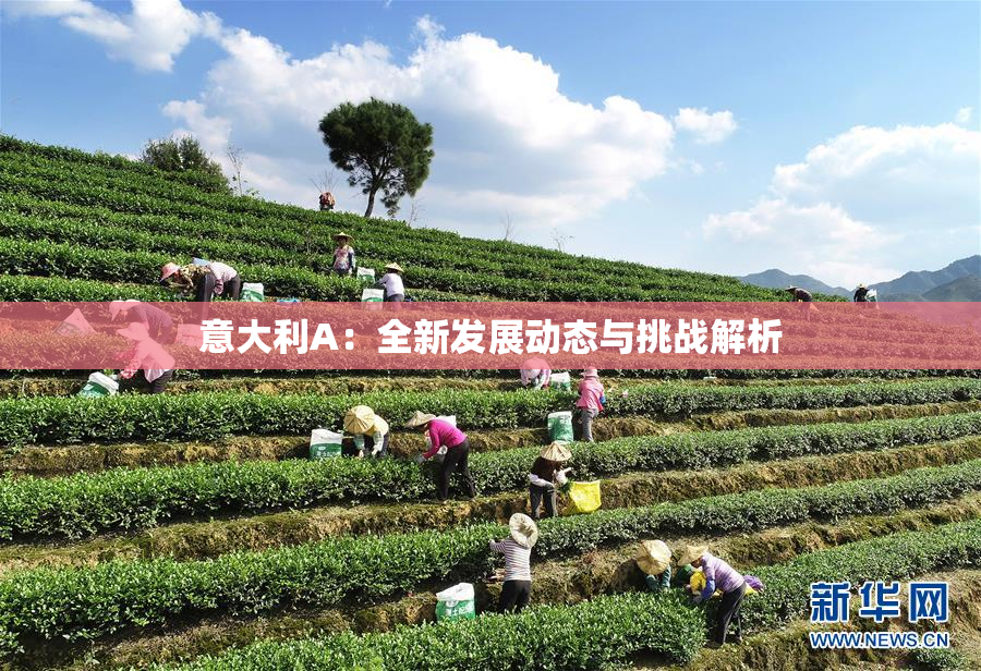 意大利A：全新发展动态与挑战解析