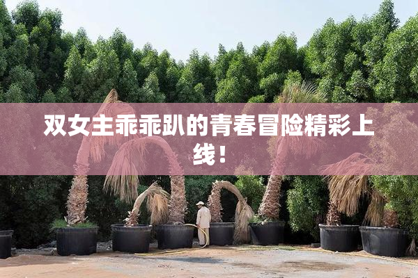 双女主乖乖趴的青春冒险精彩上线！
