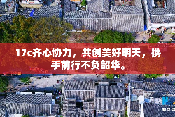 17c齐心协力，共创美好明天，携手前行不负韶华。