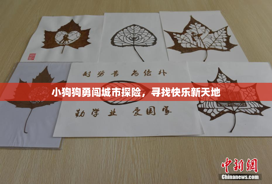 小狗狗勇闯城市探险，寻找快乐新天地