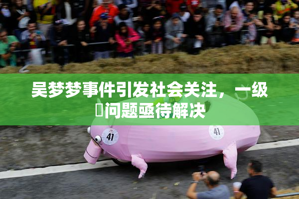 吴梦梦事件引发社会关注，一级婬问题亟待解决