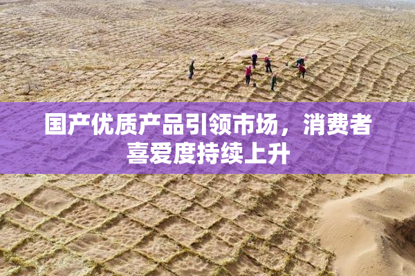 国产优质产品引领市场，消费者喜爱度持续上升
