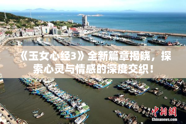 《玉女心经3》全新篇章揭晓，探索心灵与情感的深度交织！