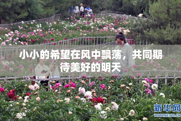 小小的希望在风中飘荡，共同期待美好的明天