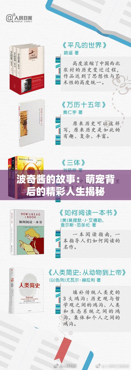 波奇酱的故事：萌宠背后的精彩人生揭秘