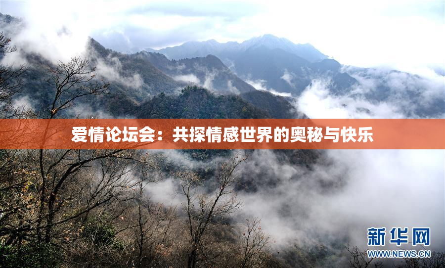 爱情论坛会：共探情感世界的奥秘与快乐