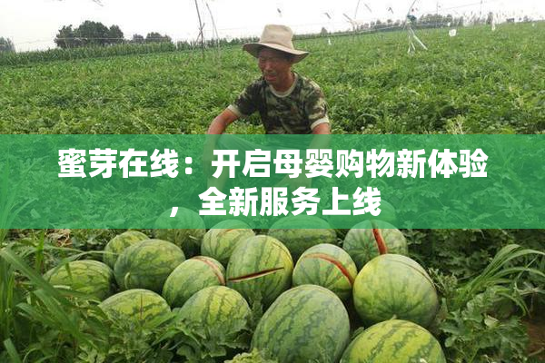 蜜芽在线：开启母婴购物新体验，全新服务上线
