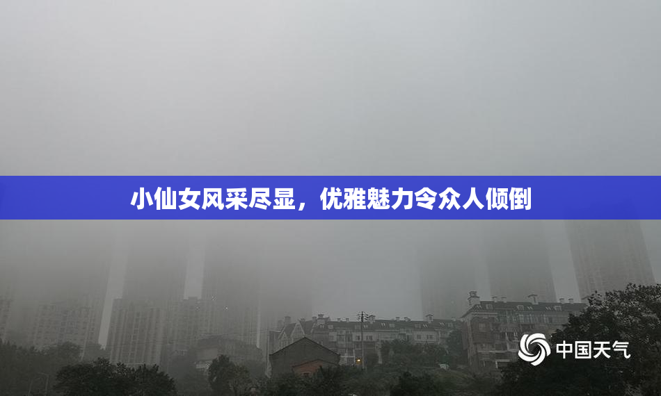 小仙女风采尽显，优雅魅力令众人倾倒