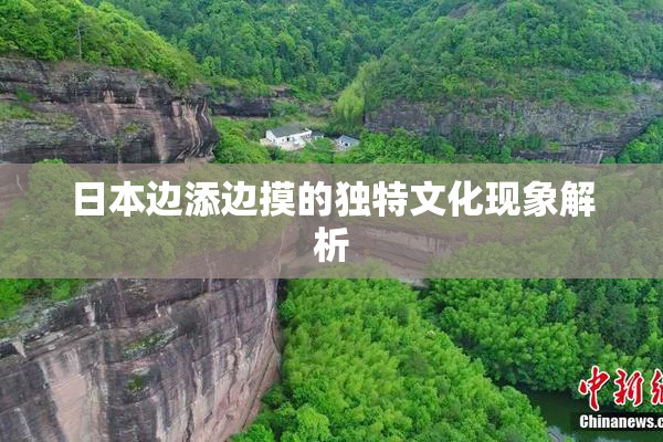 日本边添边摸的独特文化现象解析