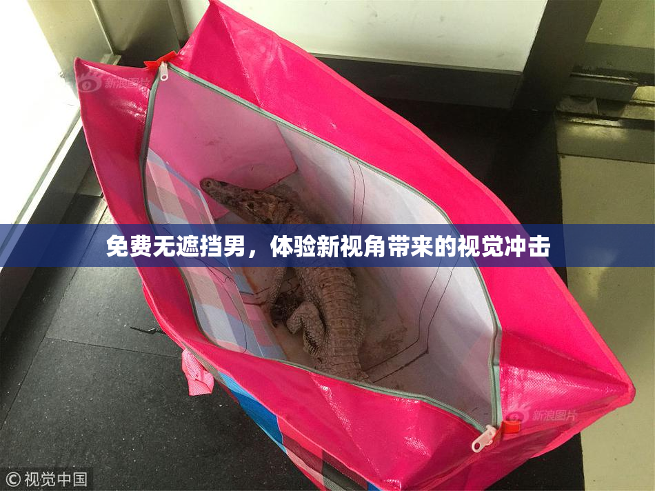 免费无遮挡男，体验新视角带来的视觉冲击