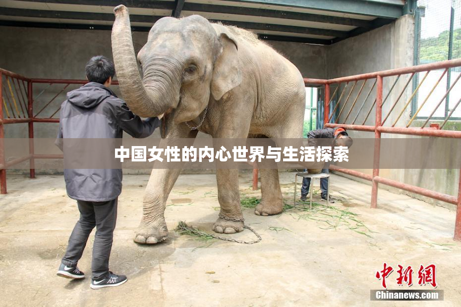 中国女性的内心世界与生活探索