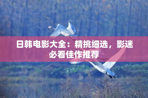 日韩电影大全：精挑细选，影迷必看佳作推荐