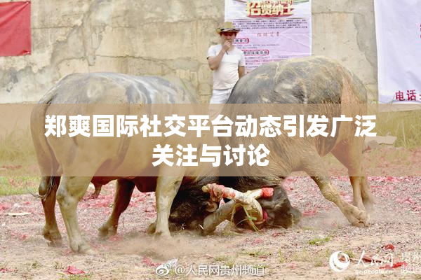 郑爽国际社交平台动态引发广泛关注与讨论