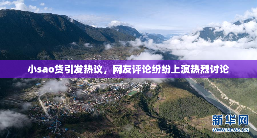 小sao货引发热议，网友评论纷纷上演热烈讨论