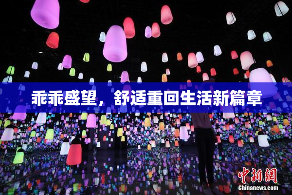 乖乖盛望，舒适重回生活新篇章