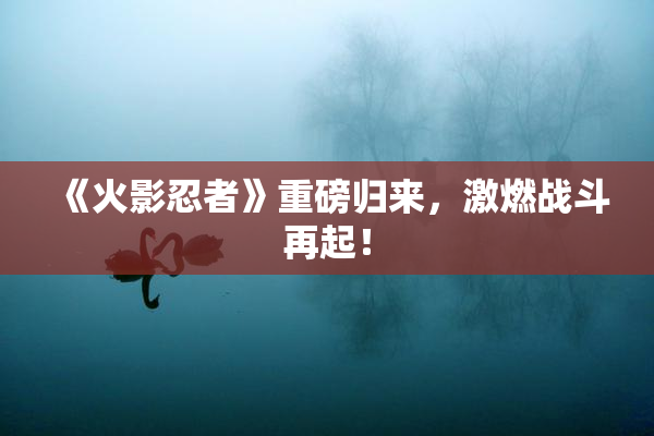 《火影忍者》重磅归来，激燃战斗再起！