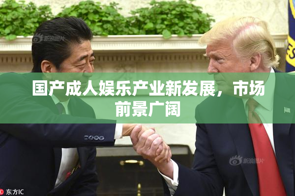 国产成人娱乐产业新发展，市场前景广阔