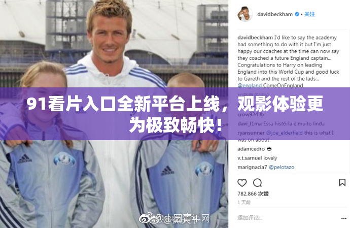91看片入口全新平台上线，观影体验更为极致畅快！