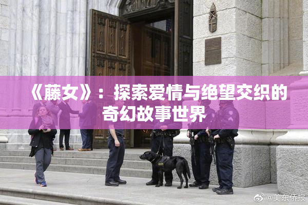 《藤女》：探索爱情与绝望交织的奇幻故事世界