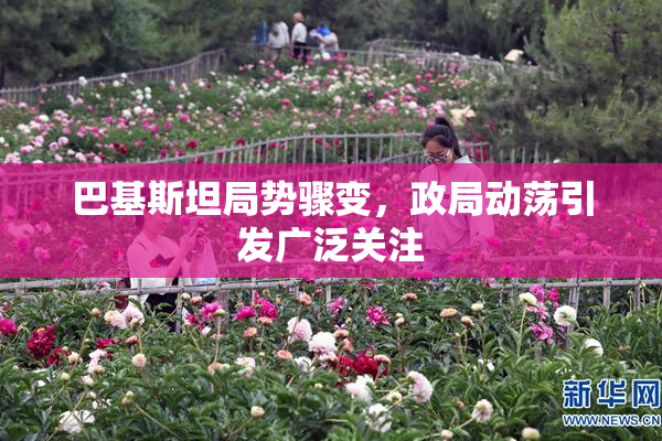 巴基斯坦局势骤变，政局动荡引发广泛关注