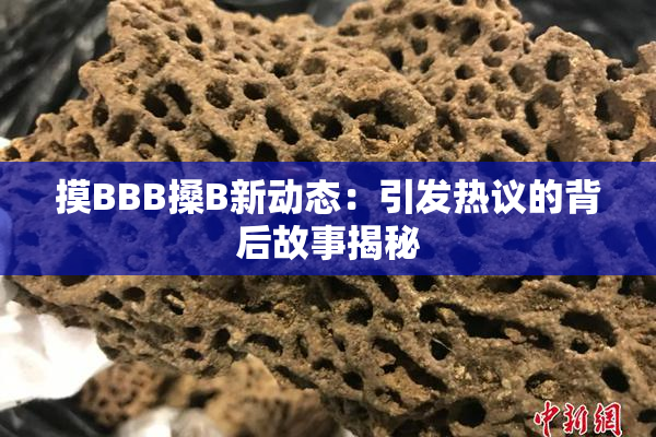 摸BBB搡B新动态：引发热议的背后故事揭秘