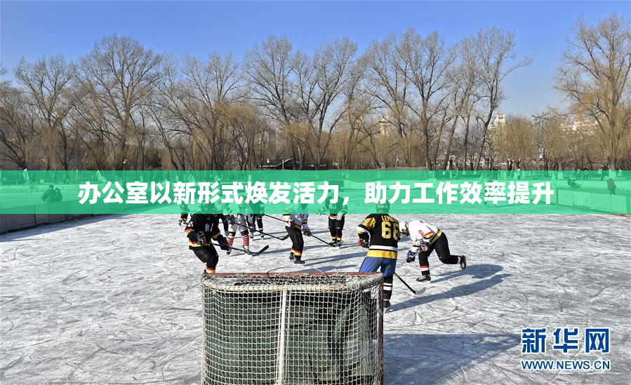 办公室以新形式焕发活力，助力工作效率提升