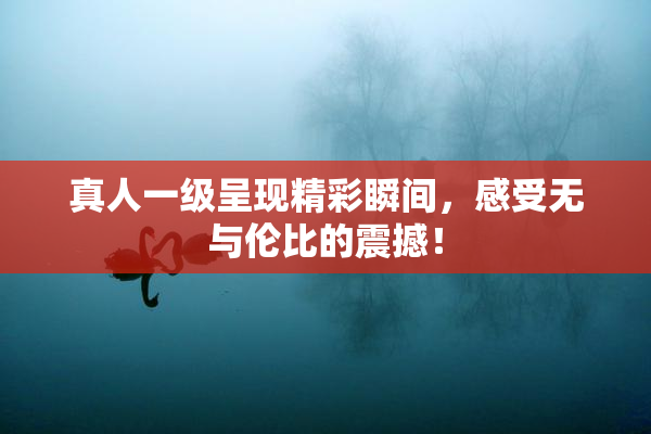 真人一级呈现精彩瞬间，感受无与伦比的震撼！