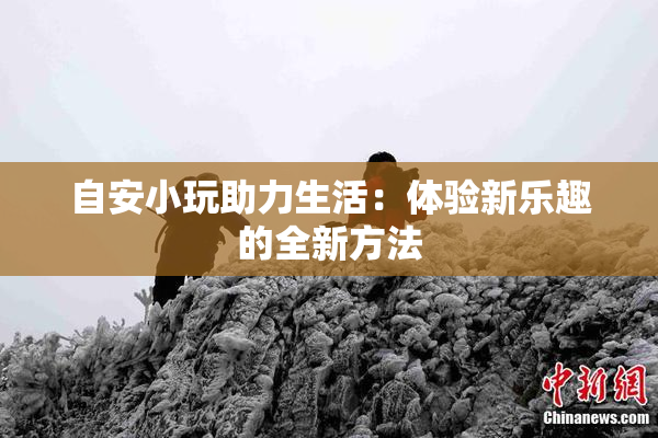 自安小玩助力生活：体验新乐趣的全新方法