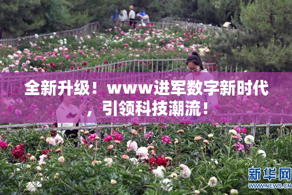 全新升级！www进军数字新时代，引领科技潮流！