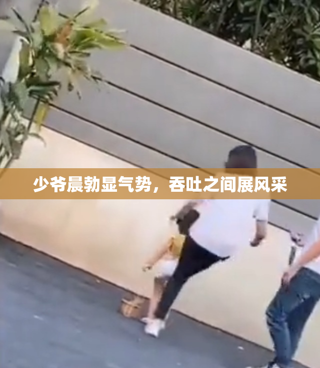 少爷晨勃显气势，吞吐之间展风采