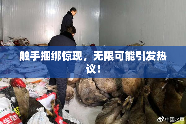 触手捆绑惊现，无限可能引发热议！