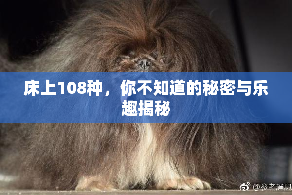 床上108种，你不知道的秘密与乐趣揭秘