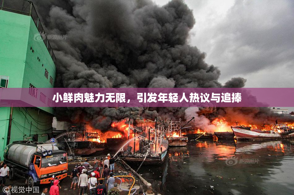 小鲜肉魅力无限，引发年轻人热议与追捧
