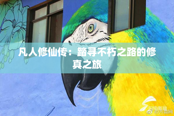 凡人修仙传：踏寻不朽之路的修真之旅