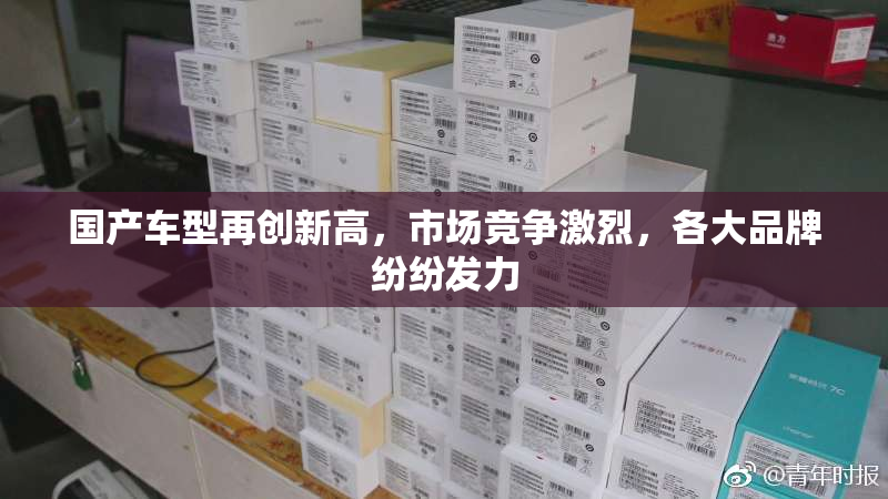 国产车型再创新高，市场竞争激烈，各大品牌纷纷发力